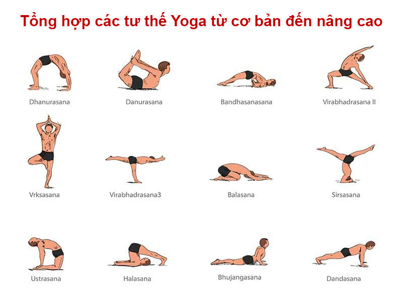 Basic Yoga Là Gì? Tìm Hiểu Tư Thế Cơ Bản Và Lợi Ích Cho Sức Khỏe