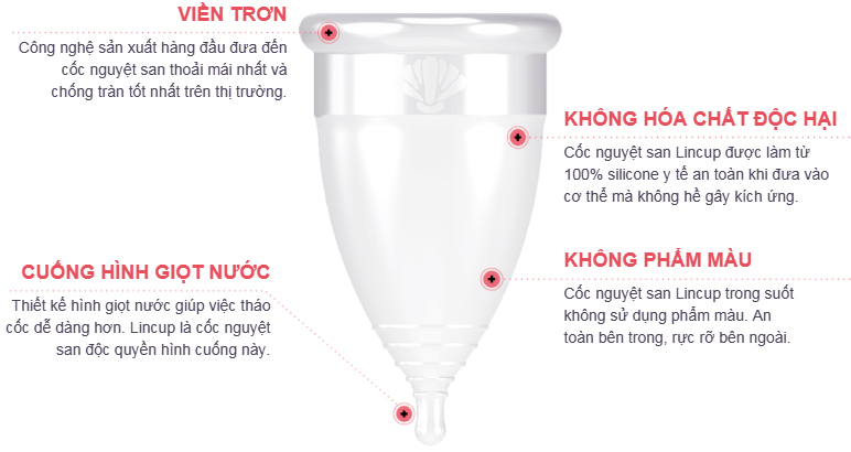 Cốc Nguyệt San Là Gì? Hướng Dẫn Sử Dụng, Lợi Ích Và An Toàn Sản Phẩm