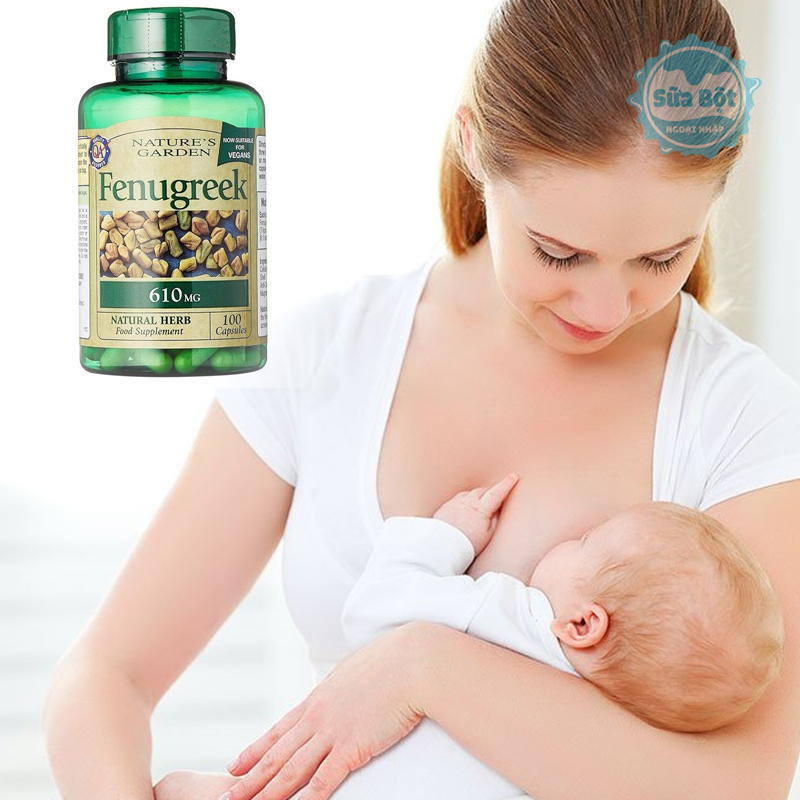 Fenugreek Là Gì? Khám Phá Lợi Ích Sức Khỏe Và Ứng Dụng Trong Ẩm Thực