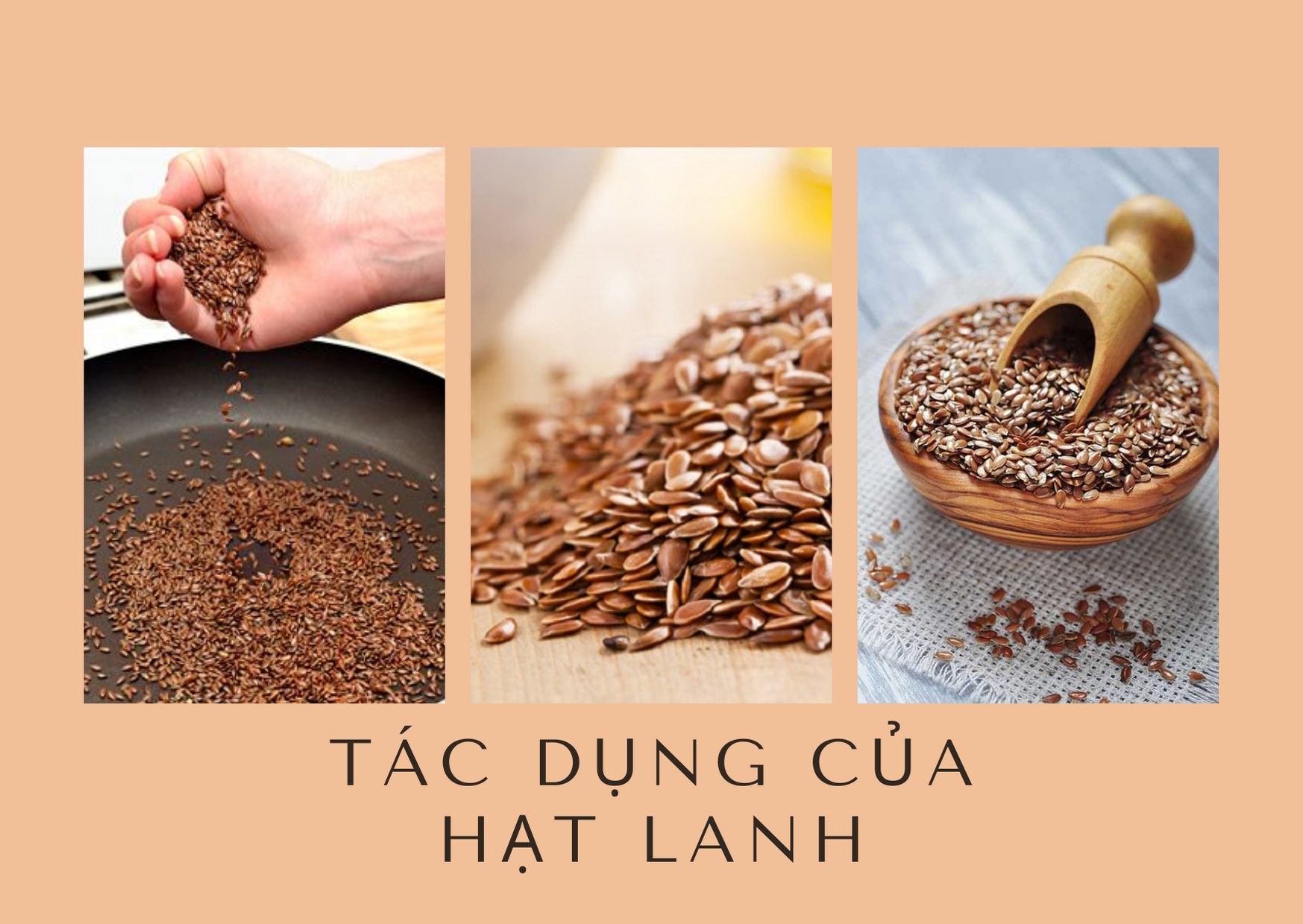 Hạt Lanh Là Gì? Khám Phá Lợi Ích Sức Khỏe Và Cách Sử Dụng Hiệu Quả