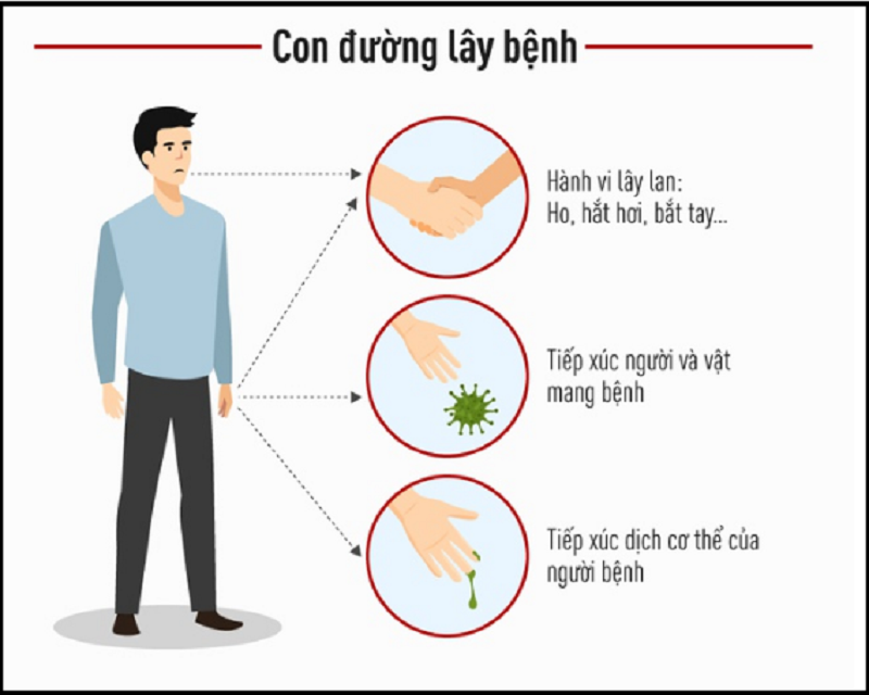 Cách Lây Nhiễm Của Virus Corona