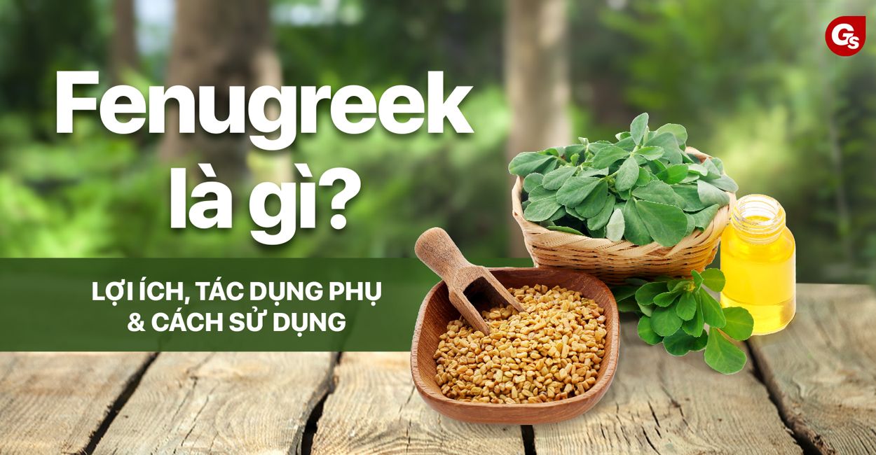 Fenugreek Seed Là Gì? Lợi Ích, Sử Dụng Trong Y Học Và Ẩm Thực Ấn Độ