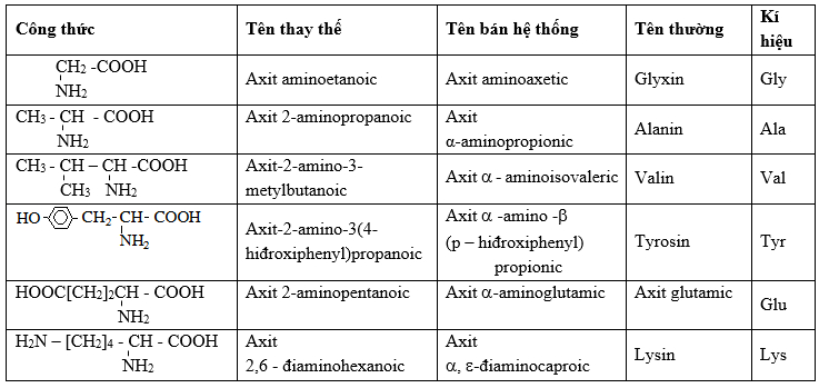 Câu hỏi thường gặp về amino