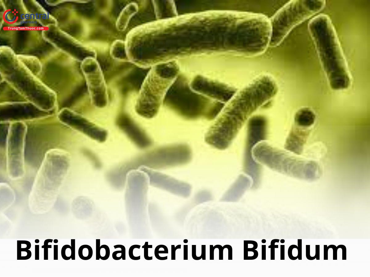 Câu Hỏi Thường Gặp Về Bifidobacterium Bifidum