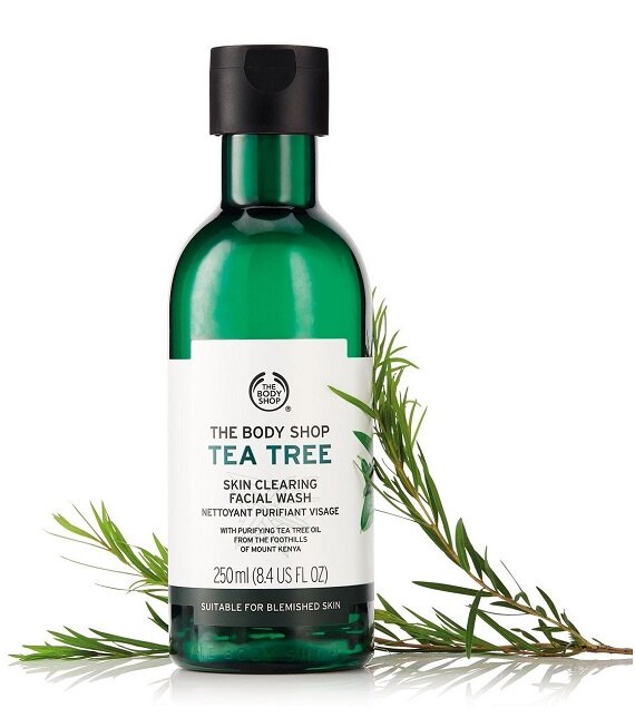 Câu Hỏi Thường Gặp Về Tea Tree Oil