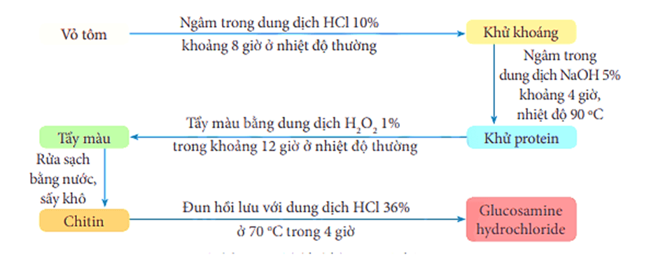 Cơ chế hoạt động của Glucosamine Hydrochloride