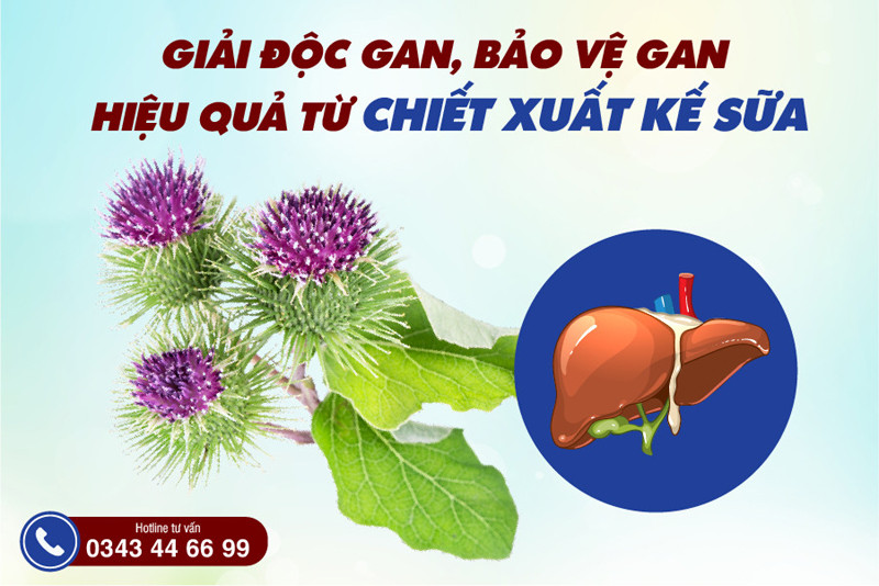 Silymarin So Với Các Chất Bảo Vệ Gan Khác