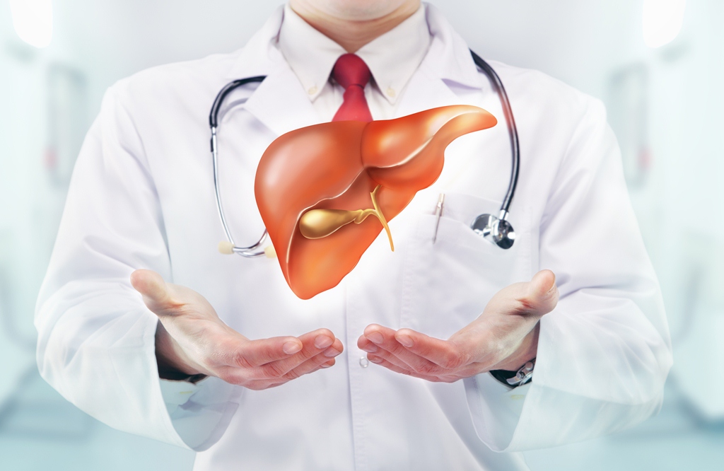 Tầm quan trọng của Liver trong y học hiện đại