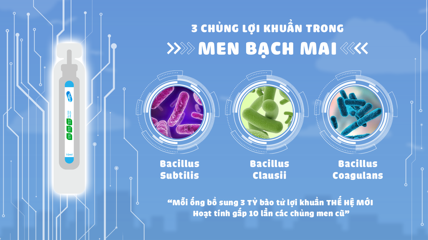 Bào Tử Lợi Khuẩn Là Gì? Khám Phá Lợi Ích Cho Hệ Tiêu Hóa Và Miễn Dịch