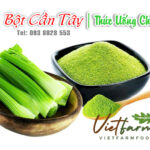 Celery Là Gì: Lợi Ích, Dinh Dưỡng Và Ứng Dụng Trong Sức Khỏe