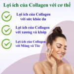 Collagen Là Gì? Vai Trò Của Collagen Trong Sức Khỏe Da, Xương Và Khớp