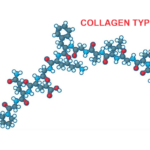 Collagen Type 1 2 3 Là Gì? Lợi Ích Cho Da, Khớp Và Sức Khỏe