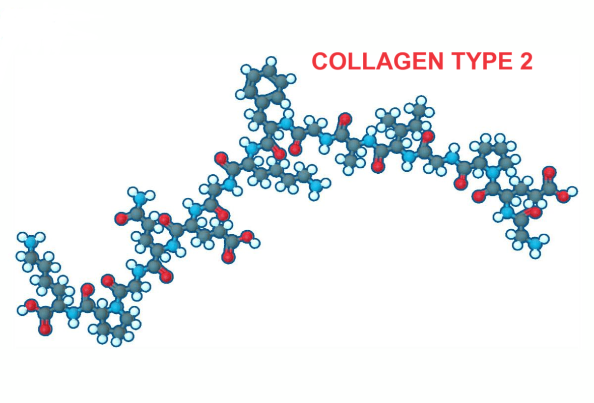 Collagen Type 1 2 3 Là Gì? Lợi Ích Cho Da, Khớp Và Sức Khỏe