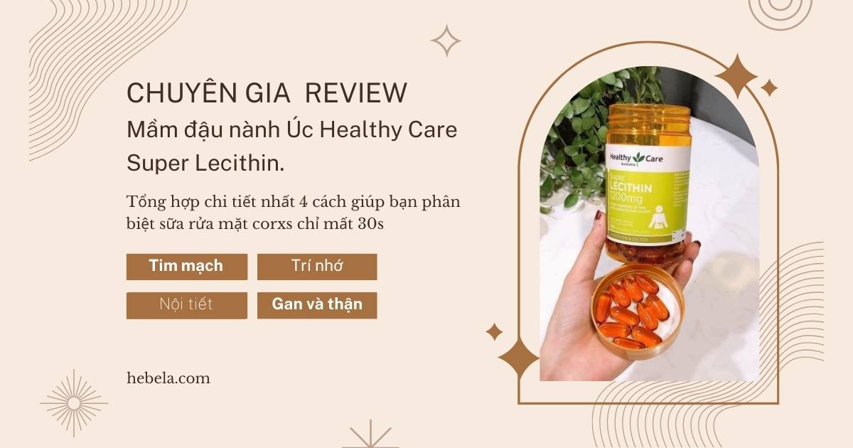 Lecithin Là Gì: Công Dụng, Nguồn Gốc Đậu Nành Và Lợi Ích Sức Khỏe