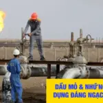 Oil Là Gì? Tìm Hiểu Về Công Nghiệp Dầu Mỏ, Khai Thác Và Thị Trường Dầu