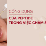 Peptide Là Gì? Hiểu Về Cấu Trúc, Chức Năng Và Vai Trò Sinh Học