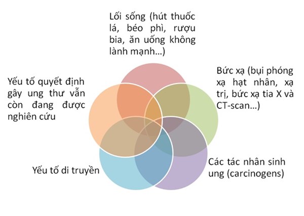 Tăng Nhãn Áp Nghĩa Là Gì: Khám Phá Nguyên Nhân, Triệu Chứng Và Điều Trị