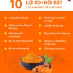 Turmeric Là Gì? Khám Phá Công Dụng Và Lợi Ích Sức Khỏe Của Nghệ