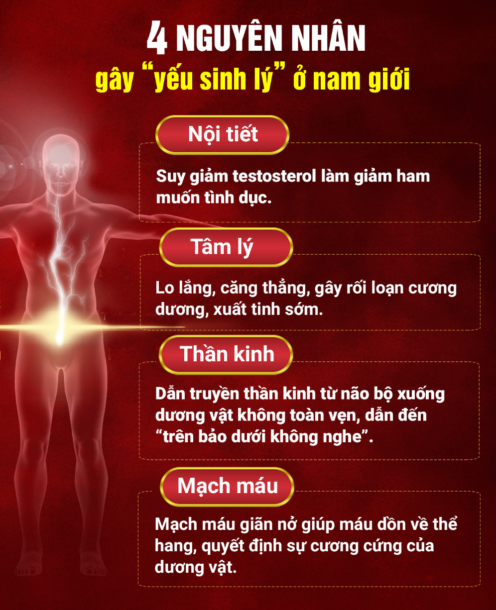 Yếu Sinh Lý Nam Là Gì? Nguyên Nhân, Triệu Chứng Và Phương Pháp Điều Trị Hiệu Quả