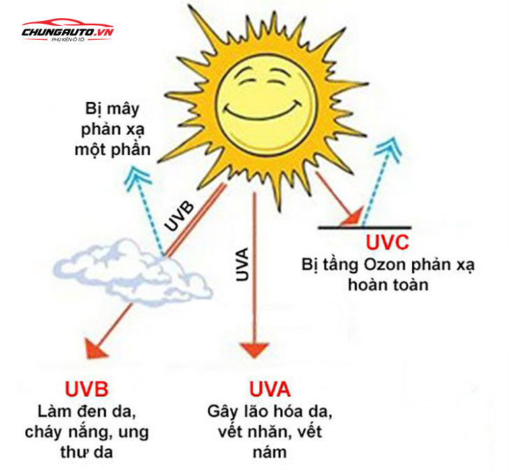 Các Mẹo Và Lưu Ý Khi Sử Dụng Uva