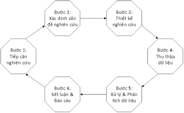 Các Nghiên Cứu Khoa Học Liên Quan Đến Quá Trình Nhai