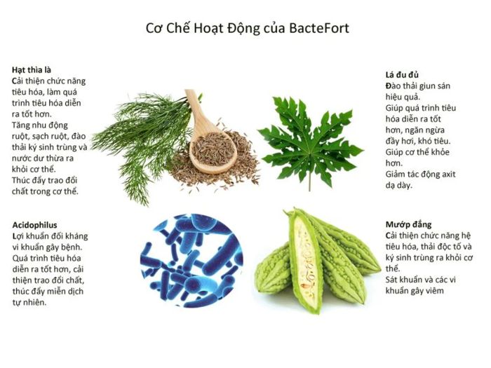 Câu hỏi thường gặp về Bactefort