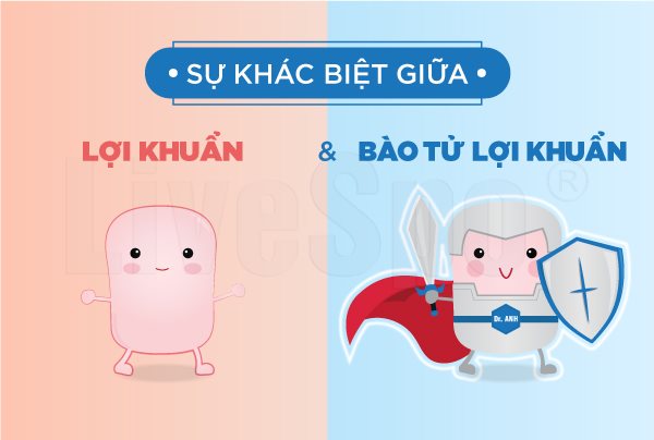 Câu Hỏi Thường Gặp Về Bào Tử Lợi Khuẩn