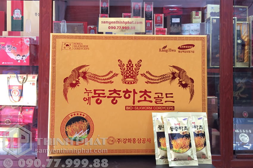 Câu Hỏi Thường Gặp Về Cordyceps