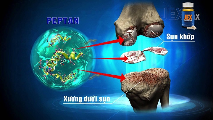 Đánh Giá Và Phản Hồi Từ Người Sử Dụng Tinh Chất Peptan