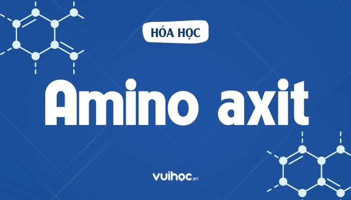 Những Điều Cần Lưu Ý Khi Sử Dụng Alpha Amino Axit