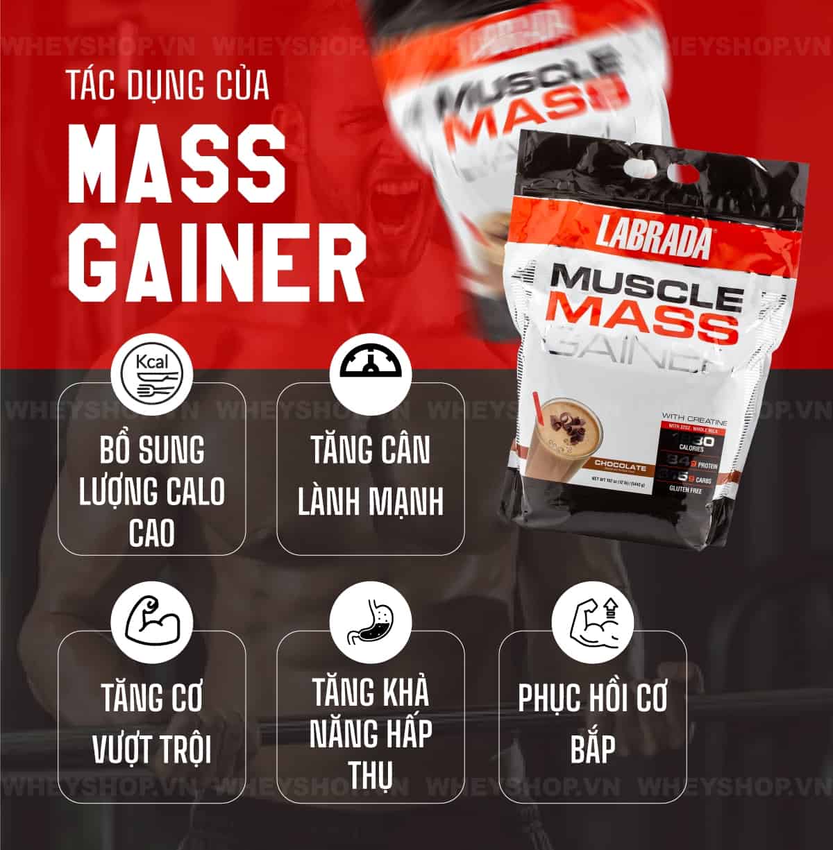 Những lưu ý khi sử dụng mass tăng cân