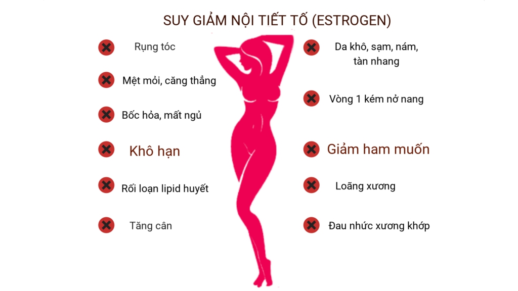 Tác Động Dài Hạn Của Rối Loạn Nội Tiết Tố Nữ