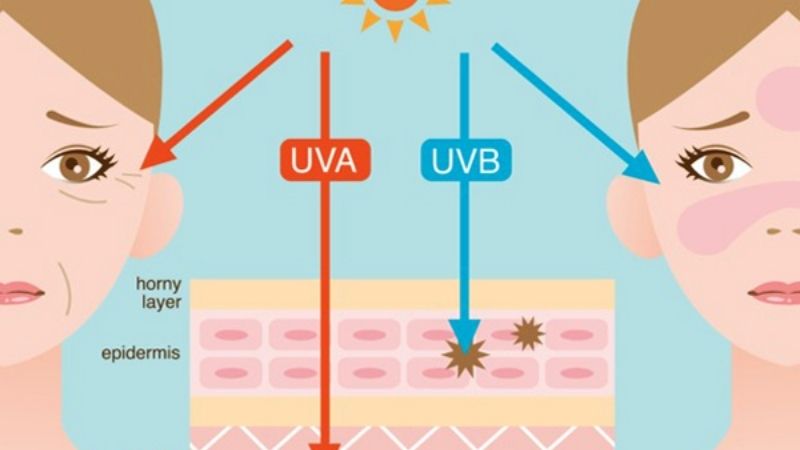 Tác Dụng Phụ Và Lưu Ý Khi Sử Dụng Alpha Lipoic Acid