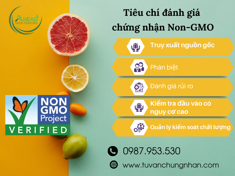 Tài nguyên và nguồn thông tin hữu ích về Non GMO