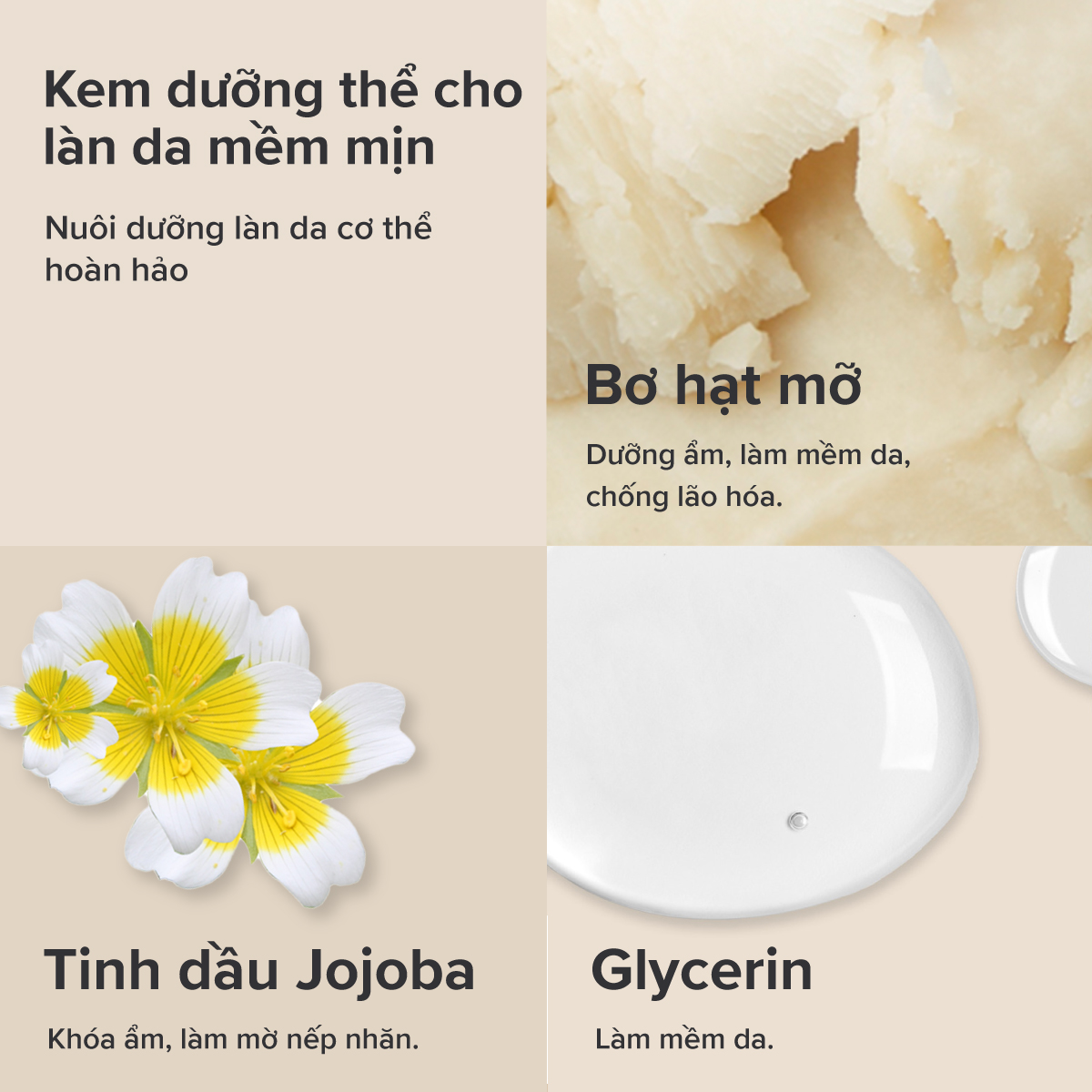 Thành Phần Chủ Yếu Trong Body Cream