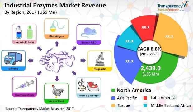 Tương Lai Của Nghiên Cứu Và Ứng Dụng Enzymatic